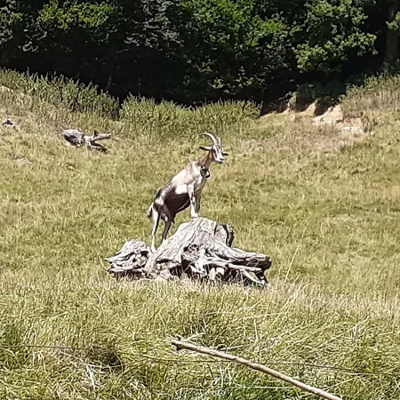 Le Rossane Aillon-le-Jeune